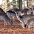 DSC_0236_png.png