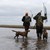 Brunsttid for mårhunde, foto 01.JPG
