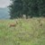 DSC_0034.JPG