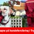 Kampagne_TrygPote.jpg