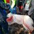 02 - foto North Safari Outfitters.jpg