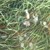 20171003_103508.jpg
