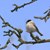 DSC_5721.NEF.jpg