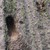 DSC_6507.JPG