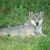 DSC_0207-1600px.jpg