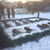 Trykjagt Almindingen 24-1-2019 001