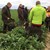 Forårsmarkprøve 13-4-2019 001