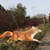 Træningsdag, nyjægere, Calle, Skjern, 07.03.2020 463_Troels Romby.JPG