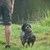 Racedyst 2018 hund m. and.JPG