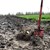 plant for vildtet_rasmus.jpg