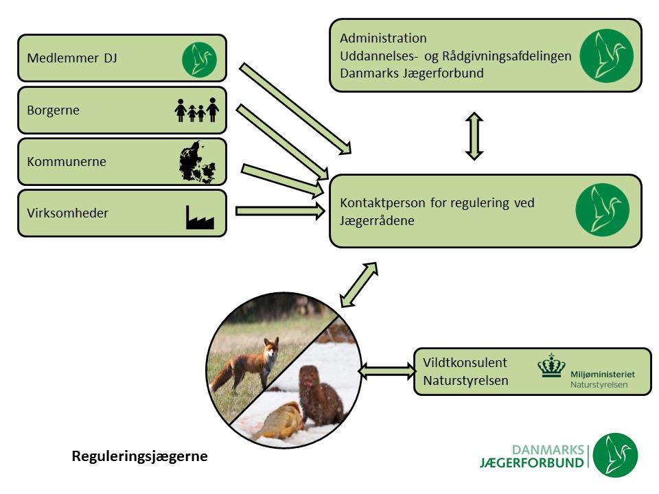Organiseringen omkring arbejdet med regulering.