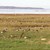 ole issefjord1.JPG