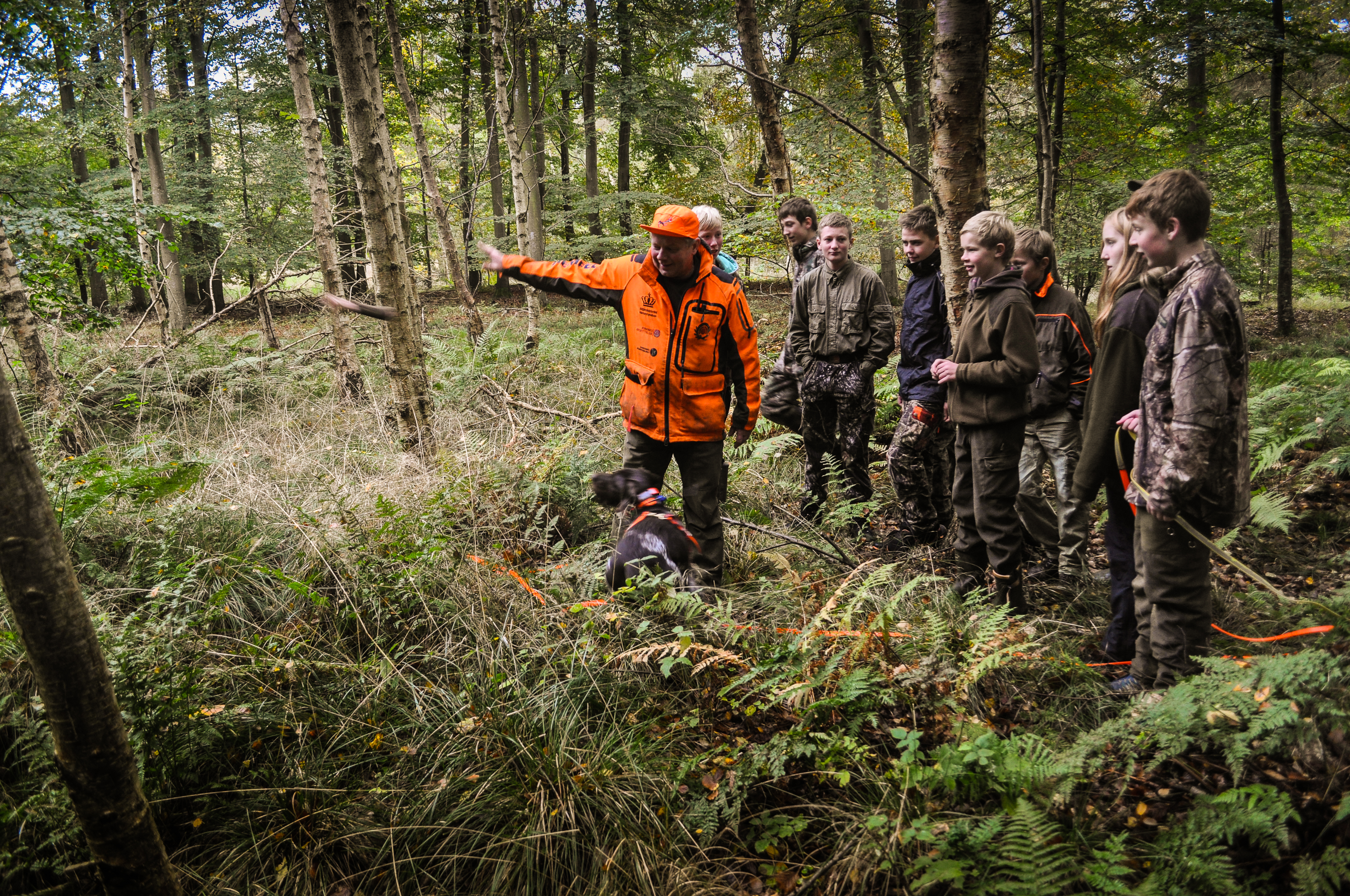 Eftersøgning schweiss juniorjæger.jpg