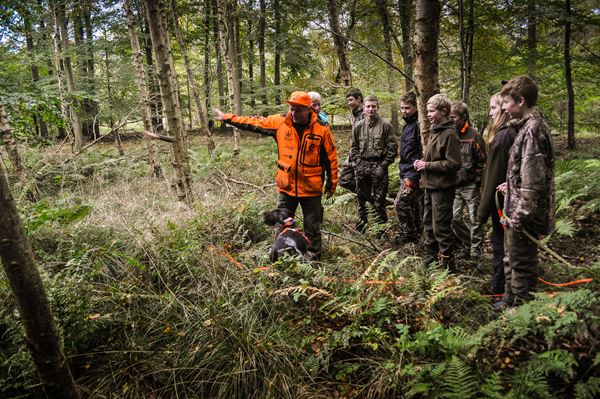 Eftersøgning schweiss juniorjæger.jpg