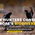Biodiversity_Manifesto_1250x680_72dpi.jpg