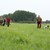 Racedyst - WEB - 01.jpg
