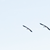 gåsejagt_tln1.png