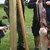 Skill1 åbning.JPG
