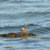 DSC_0031.JPG