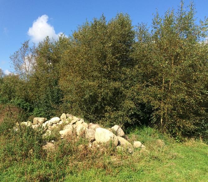 220107 Faktaark Stenbunke Final.jpg