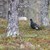 DSC_1082.JPG
