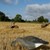 DSC_0236040826.JPG