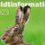 web_ny-forside_vildtinformation-2023_forside.jpg