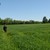 DSC_0010.JPG