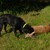 DSC_0029.JPG