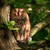 0523_Kim Henneberg_Natugle.jpg