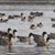 JPK_OM-D_19042018_0129.web.jpg