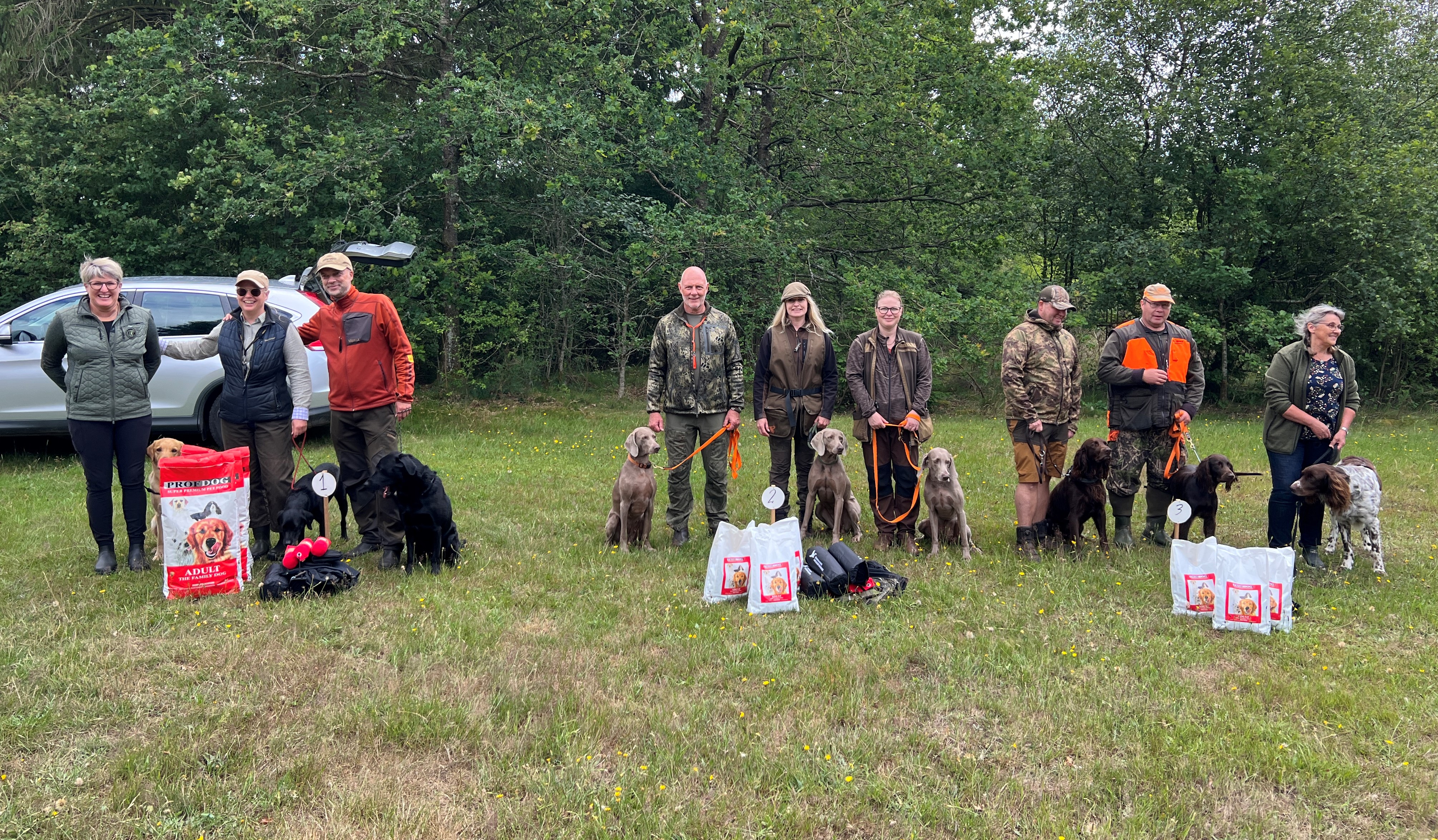 Vinderne af holdkonkurrencen. Fra venstre: labrador retriever, weimaraner og tysk langhår.