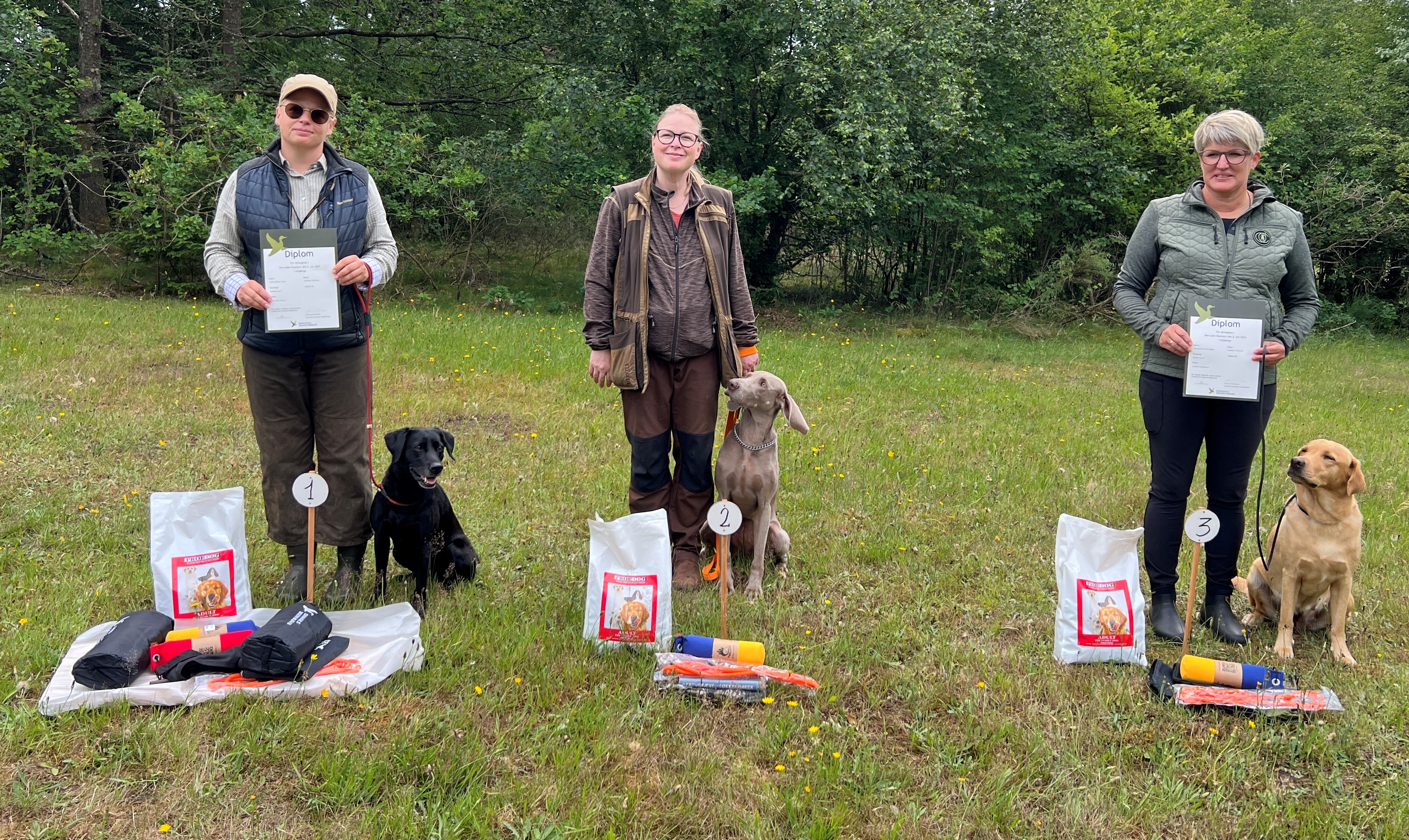 Vinderne af racedysten. Fra venstre: Lærkeredens Cindy, Hunt 'N' Fun Effie og Brown Hunt's Feel Happy.