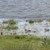 DSC_0839.JPG