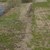 DSC_0178.JPG