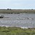DSC_0842.JPG