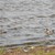 DSC_0857.jpg
