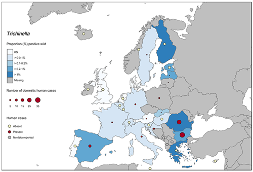 Kort over forekomsten af trikiner i EU medlemslandende i 2016