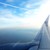 fly vinge.jpg