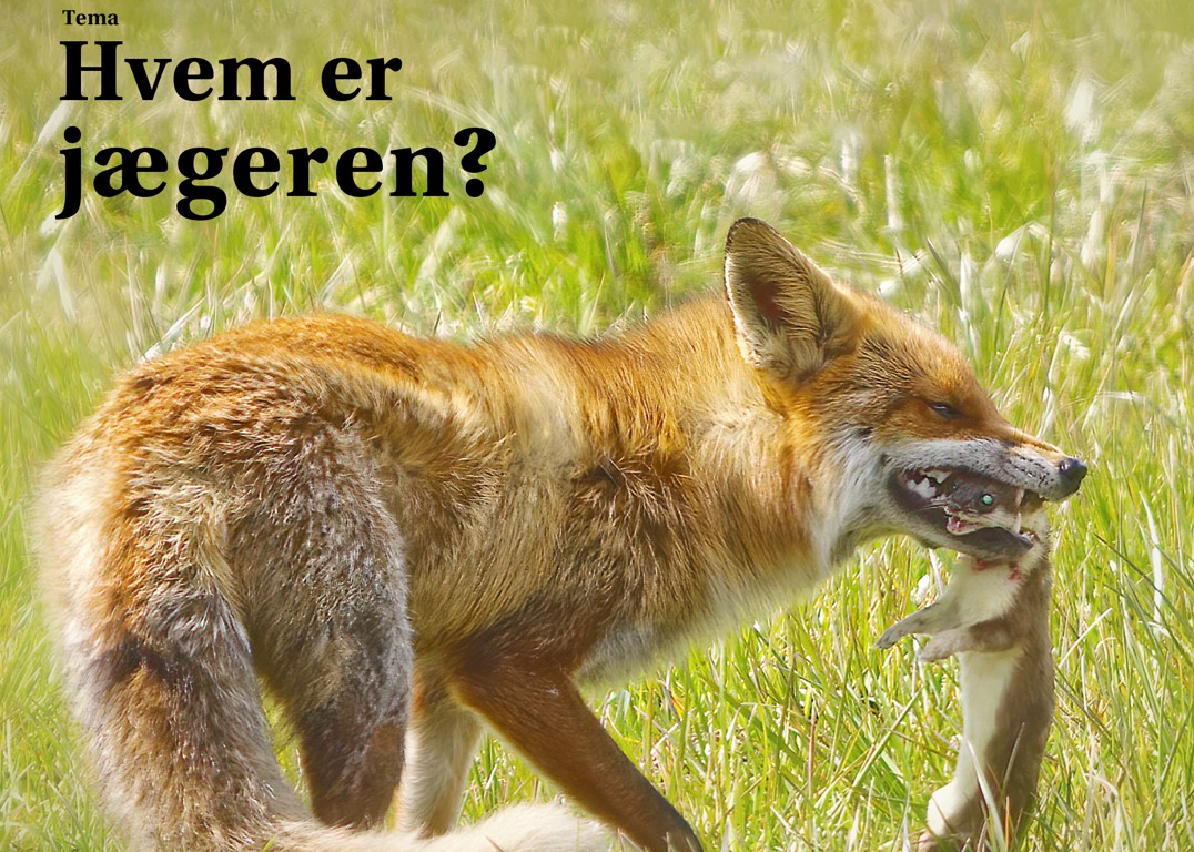 Jæger nr. 5 er på gaden Danmarks Jægerforbund