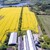 Blomster- og insektregistreringer markvildtindsatsen  2023_.jpg