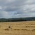DSC_0250040826.JPG