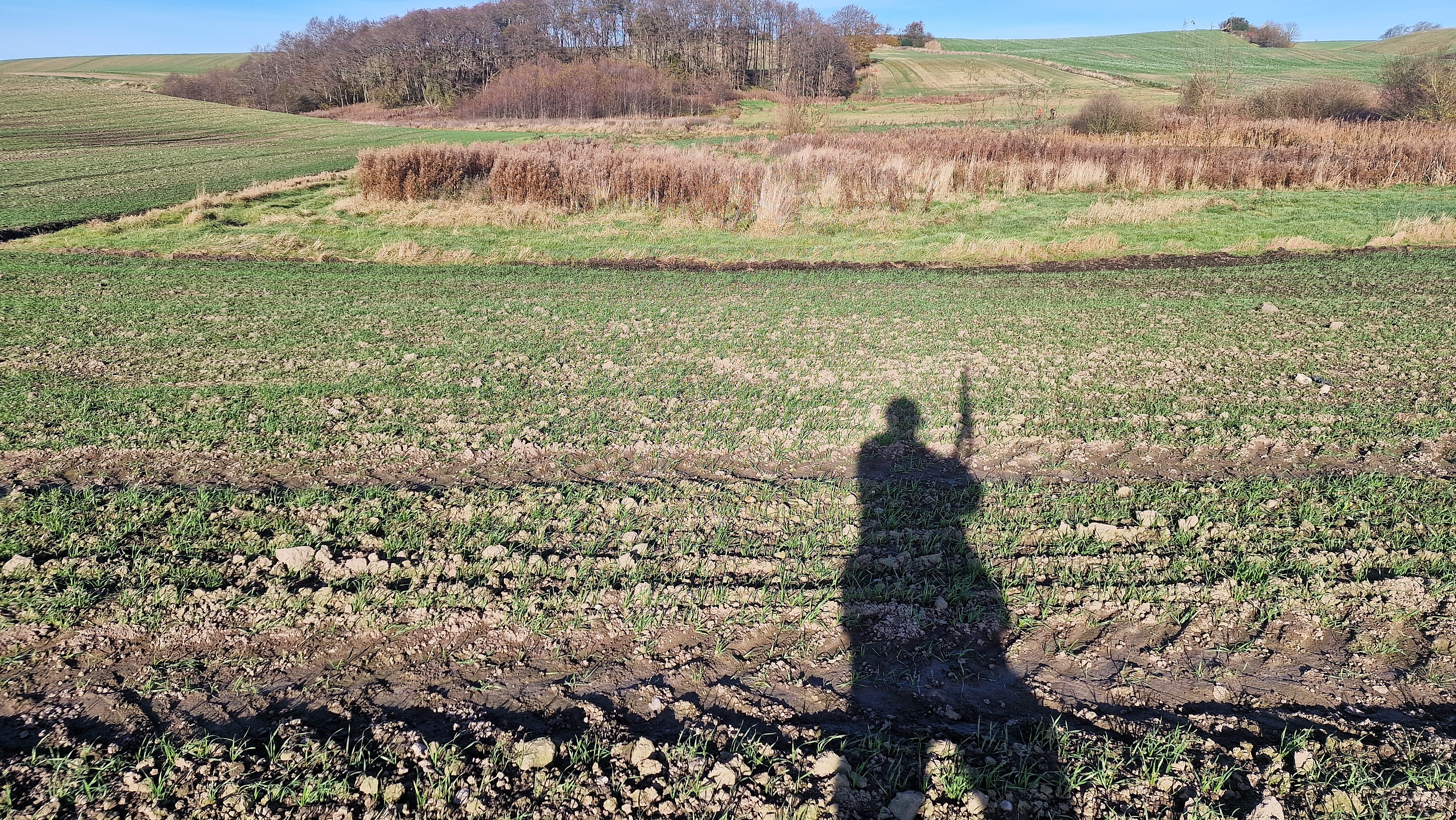 jagt terræn areal natur_jmj.jpg