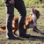 hund_flemming høyer.gif