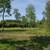 DSC_0144.JPG