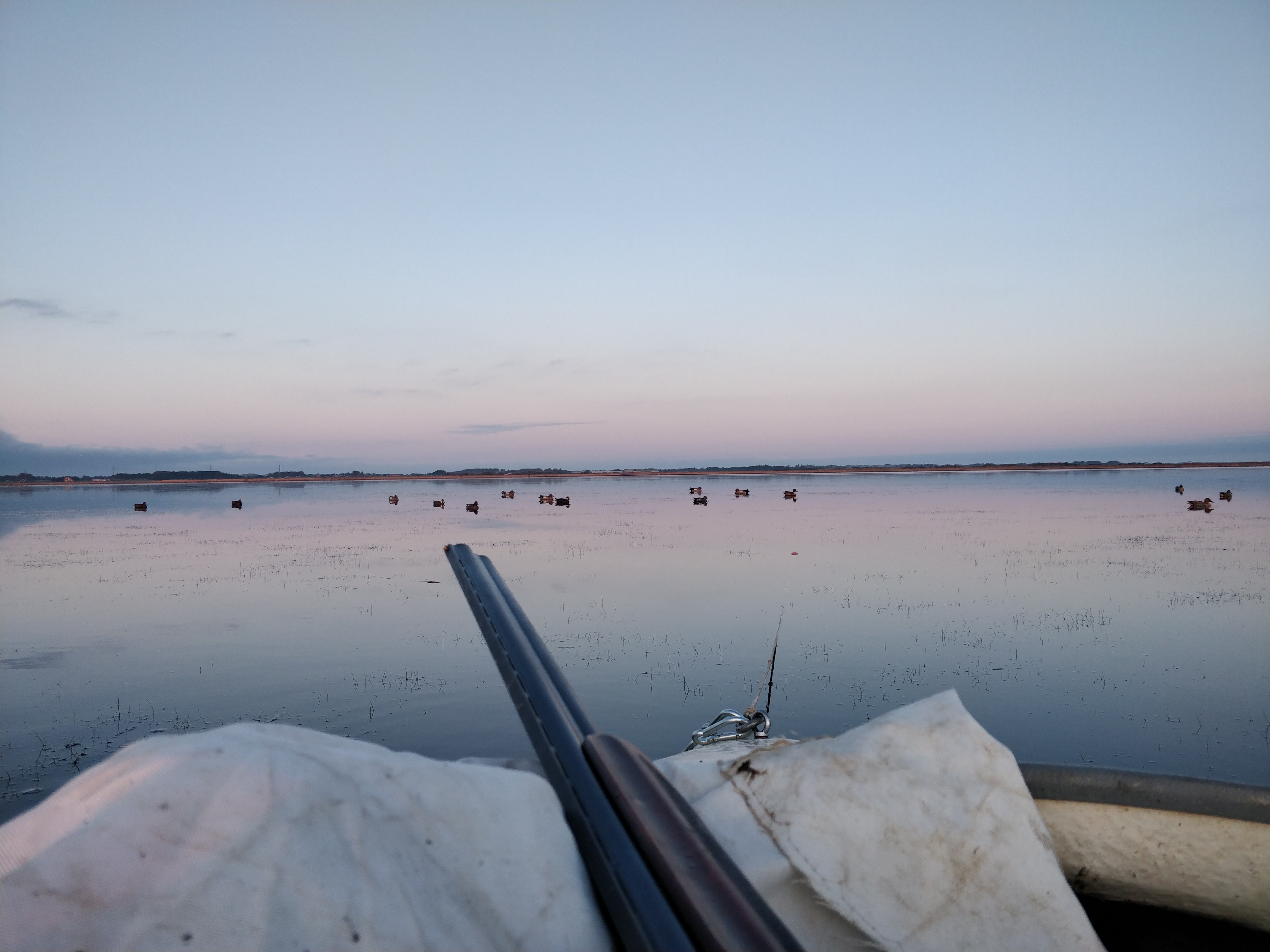 strand og hav_msd.jpg