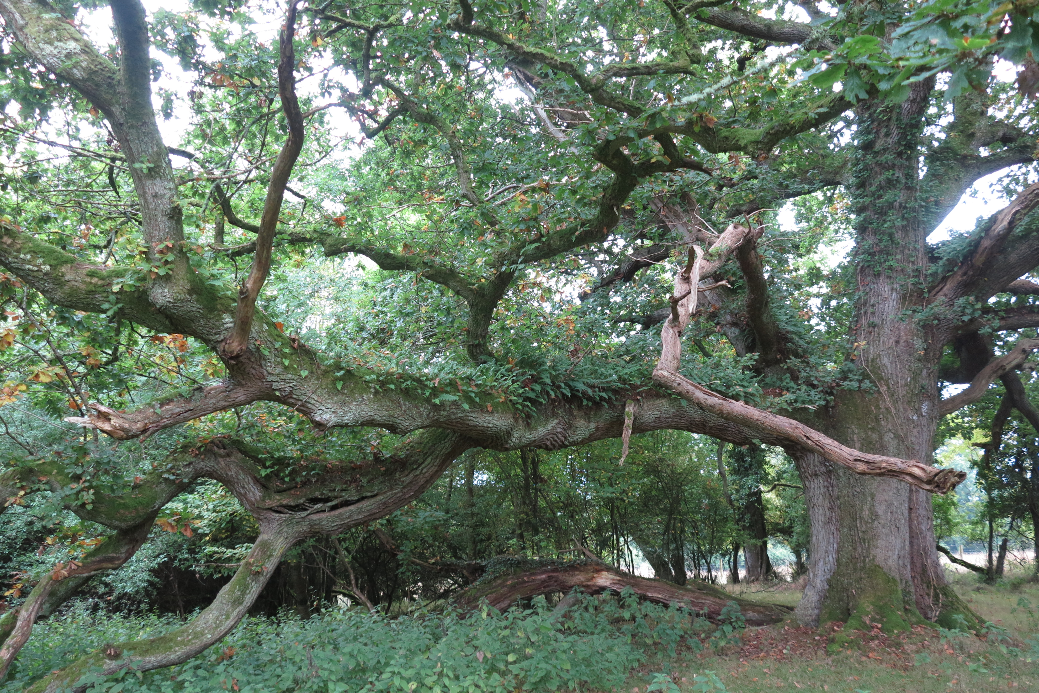 2012-09-25 08.26.46.jpg