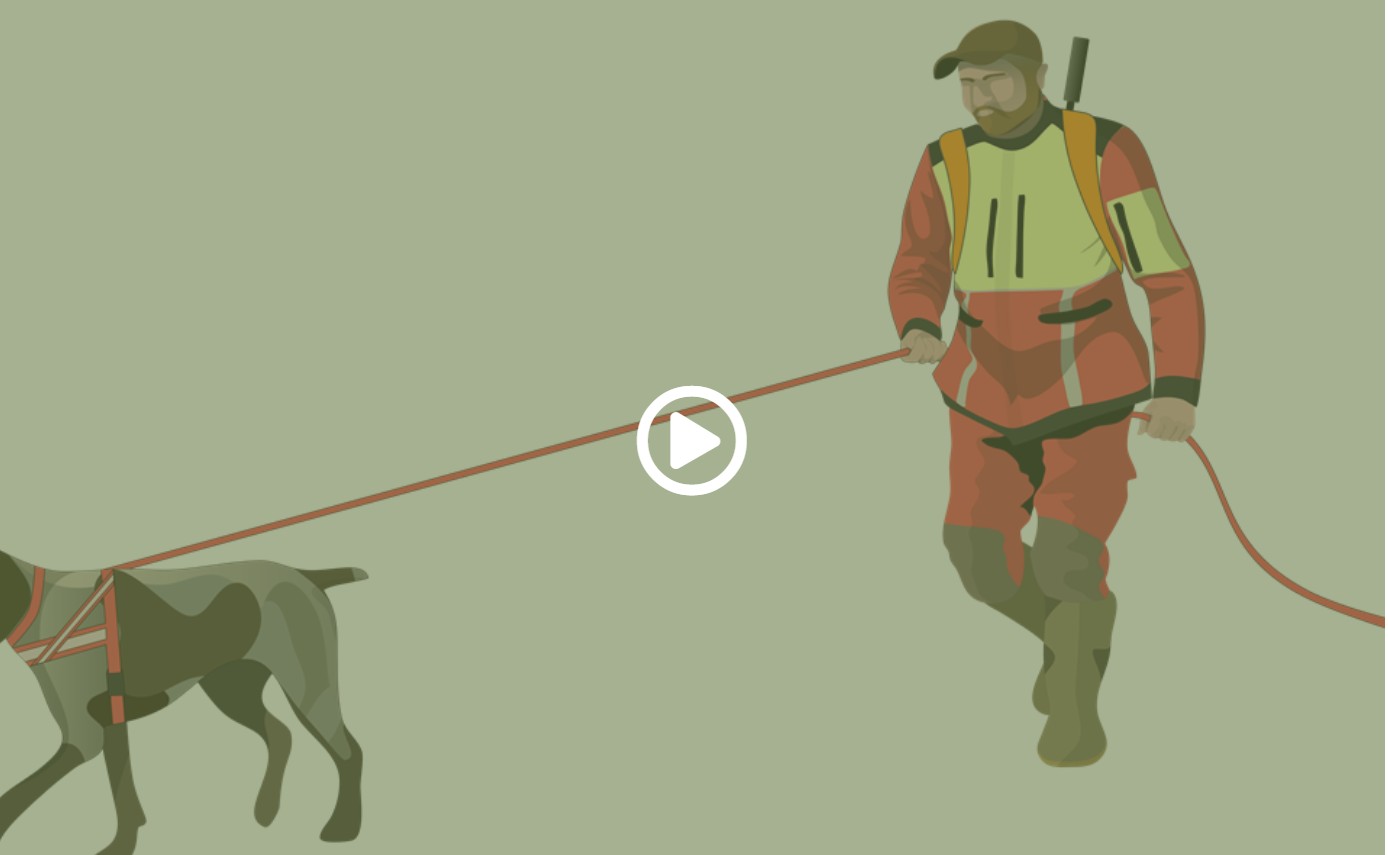 film eftersøgning.jpg