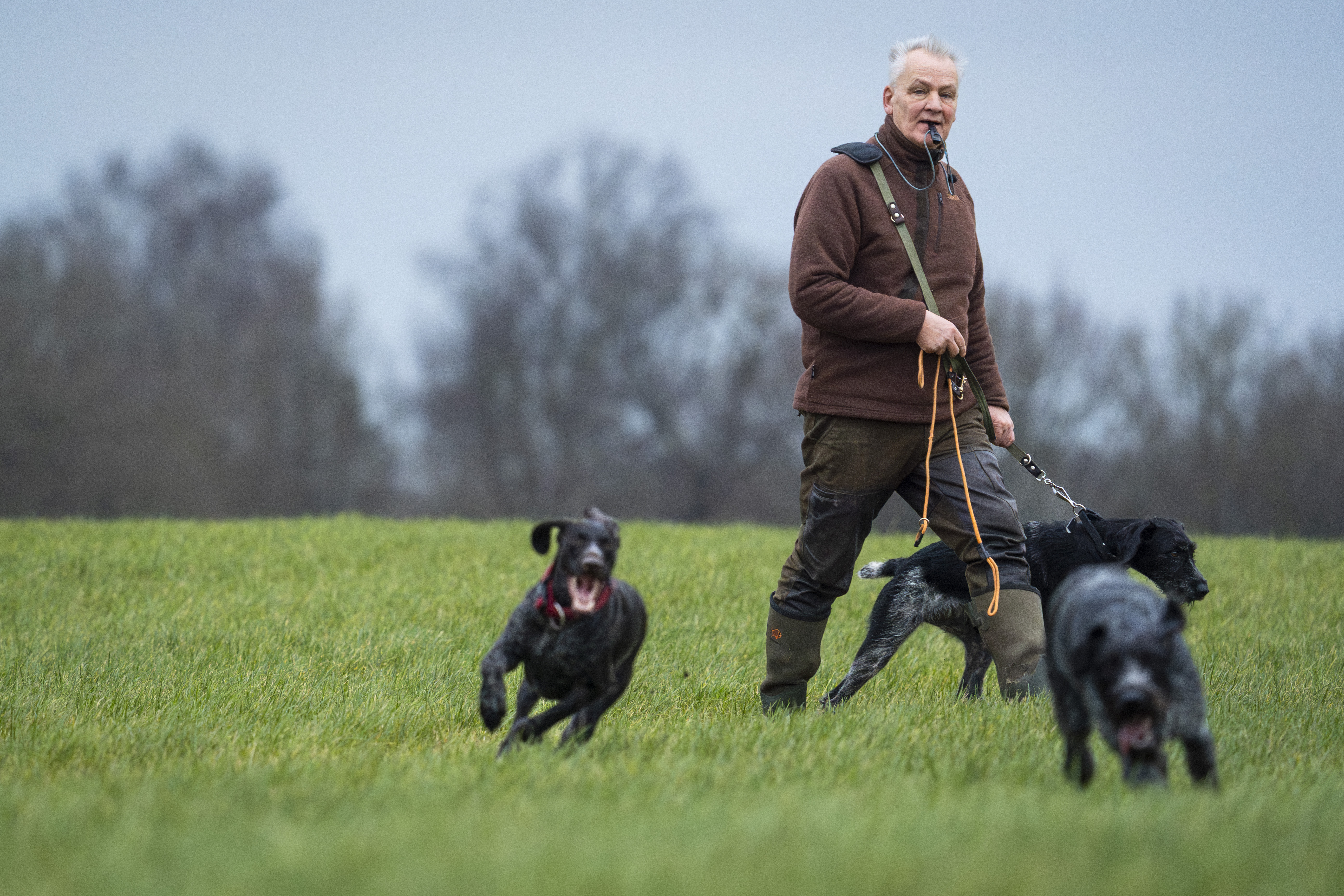 bestandsovervågning med stående hunde000.jpg