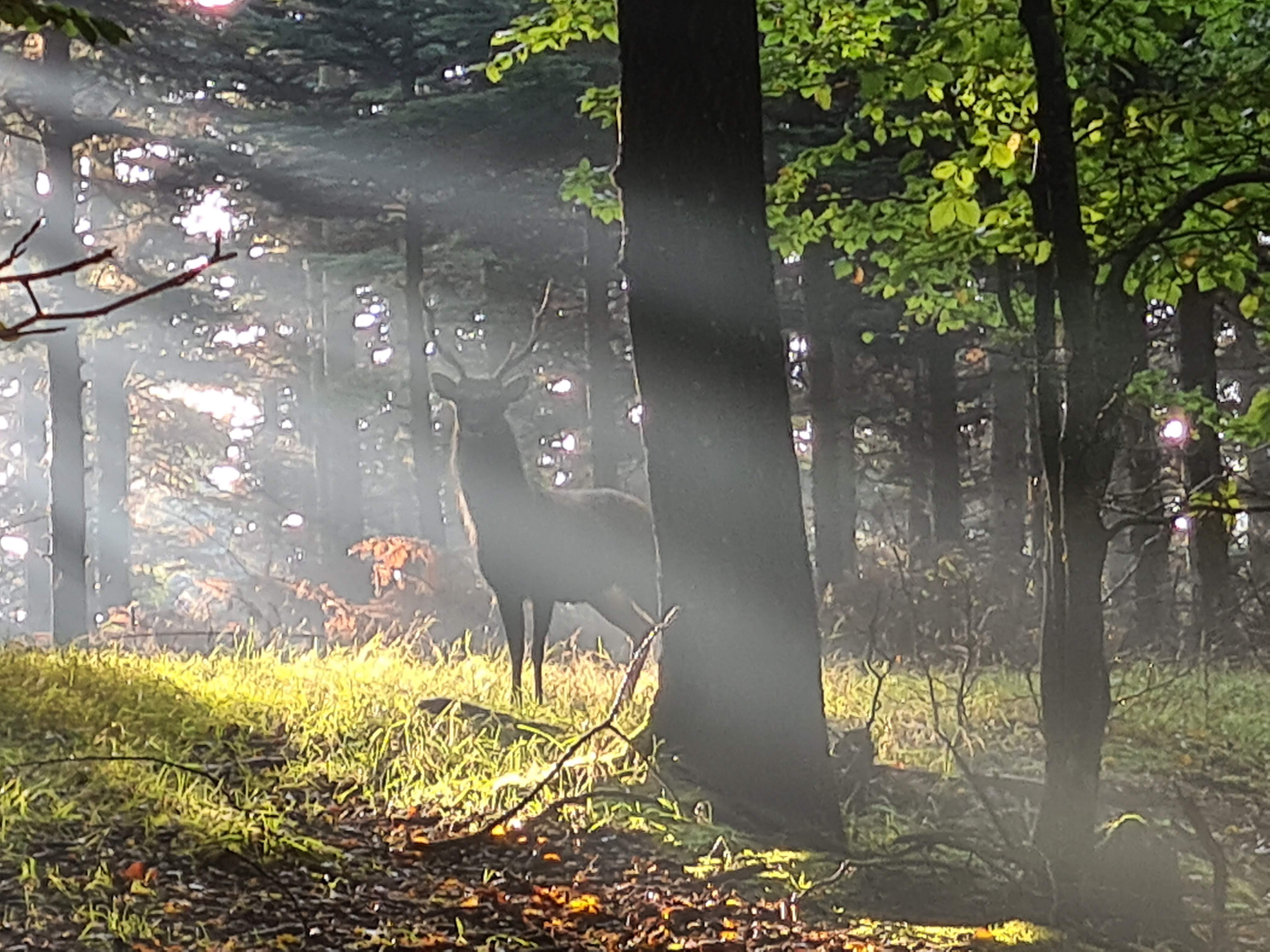 Sika Bente Krogh Hansen 4.jpg
